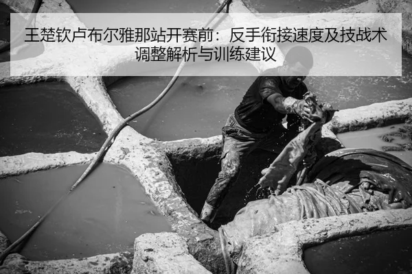 王楚钦卢布尔雅那站开赛前：反手衔接速度及技战术调整解析与训练建议