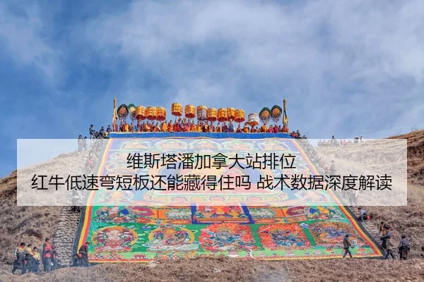 wei-si-ta-pan-jia-na-da-zhan-pai-wei-hong-niu-di-su-wan-duan-ban-hai-neng-cang-de-zhu-ma-zhan-shu-shu-ju-shen-du-jie-du-2-156.jpg